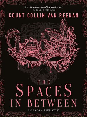 cover image of The Spaces in Between